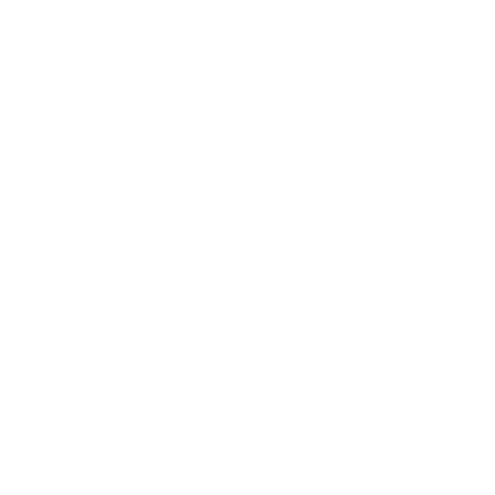 franchise investing